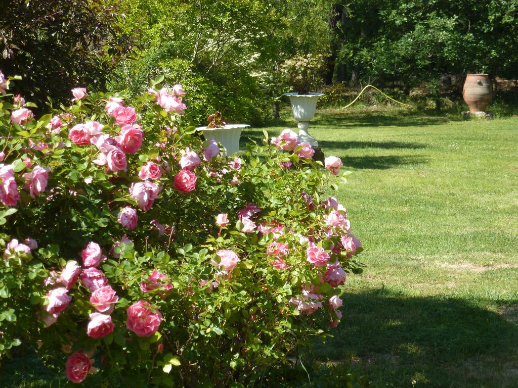 Domaine Du Planas Ailhon Ardeche Bed & Breakfast Room photo